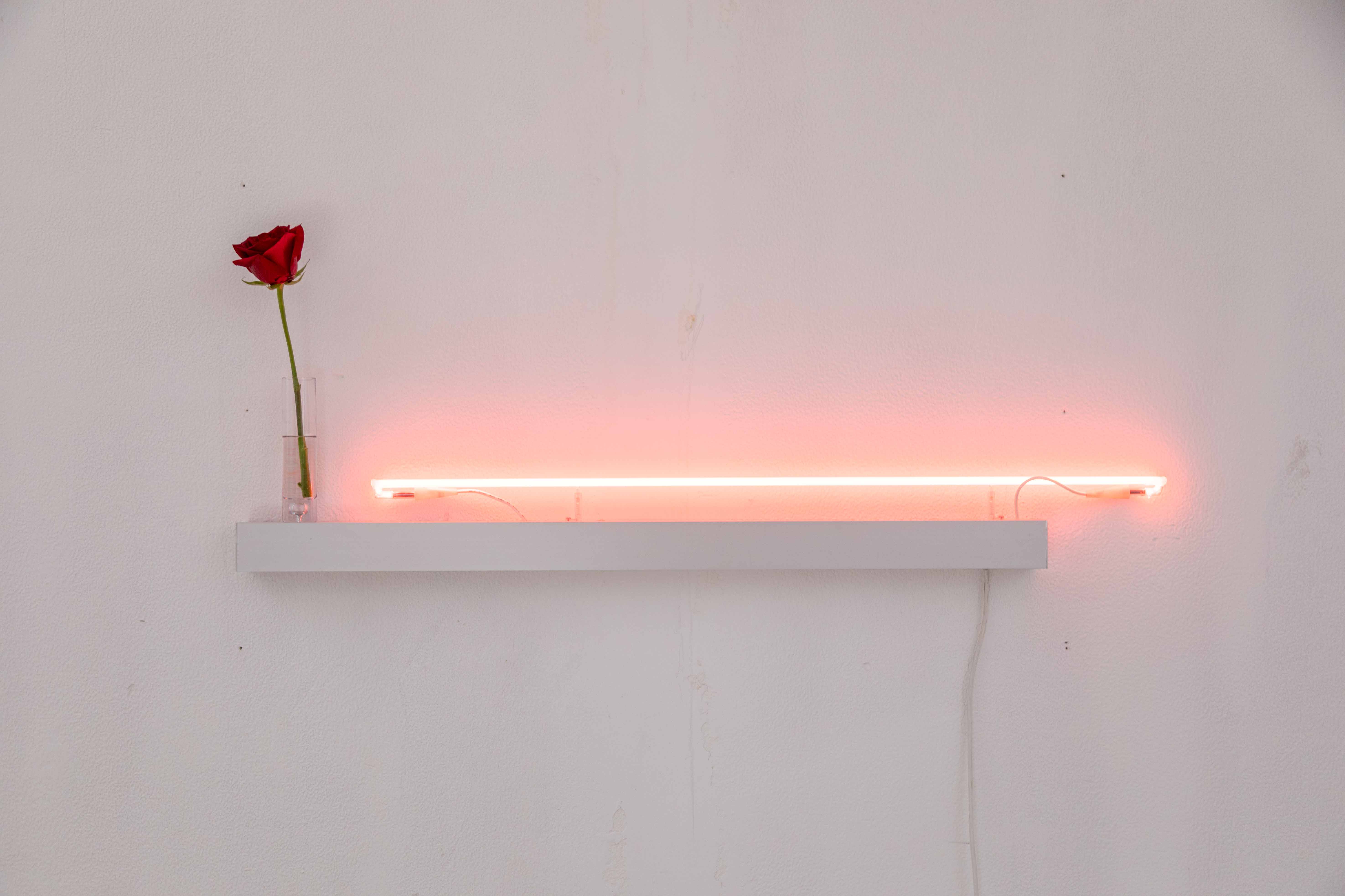 - file://Tm6y3kyhR0pMZBtk